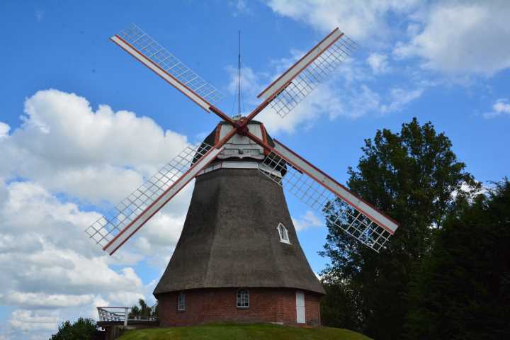Windmühle Bederkesa Erd-und Galerieholländer mit Windrose im Geestland